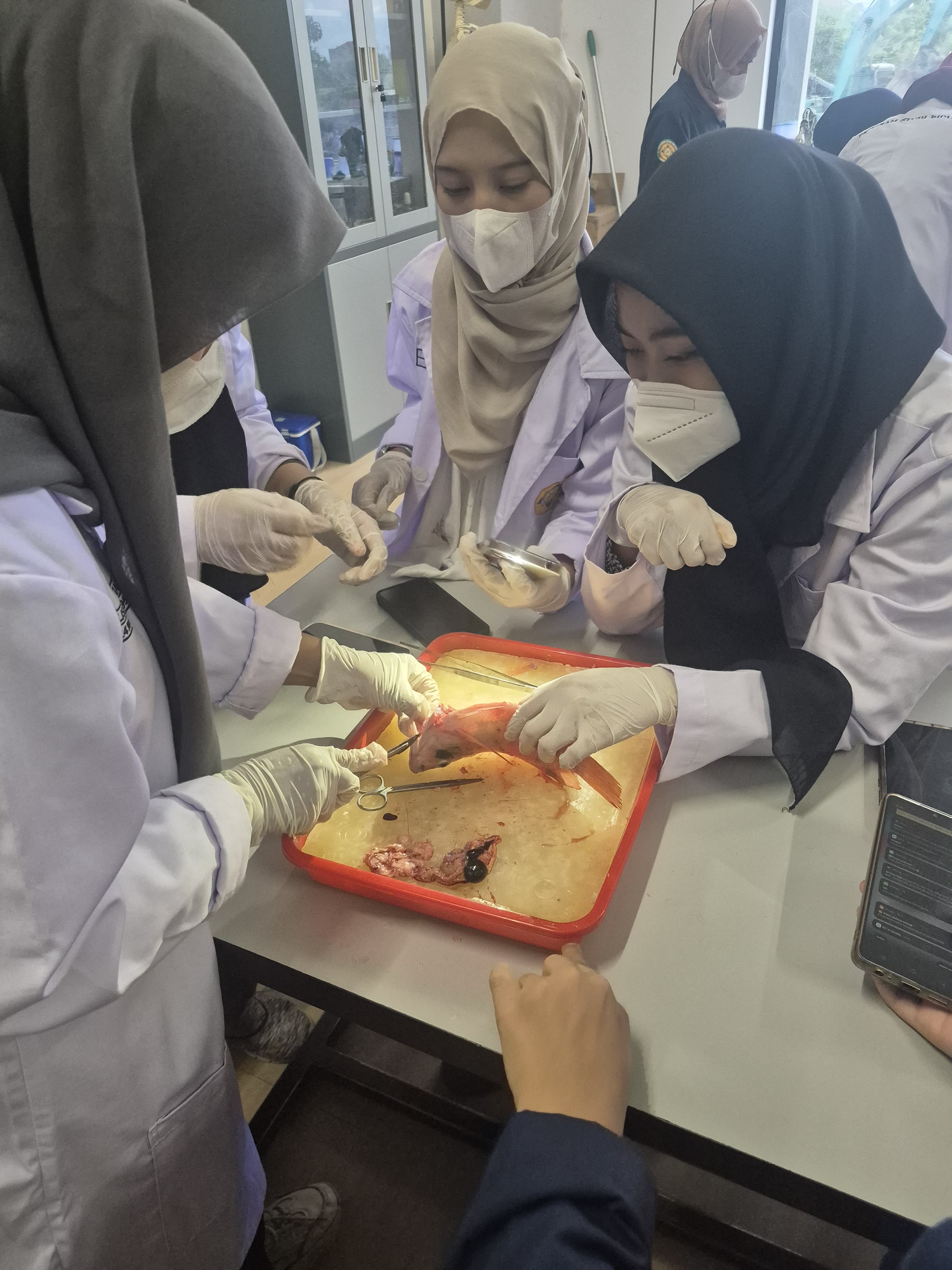Praktikum Bedah Ikan