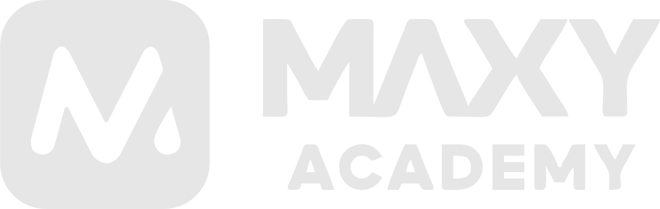 Maxy Academy
